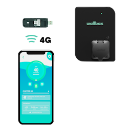 Wallbox 4G-dongel